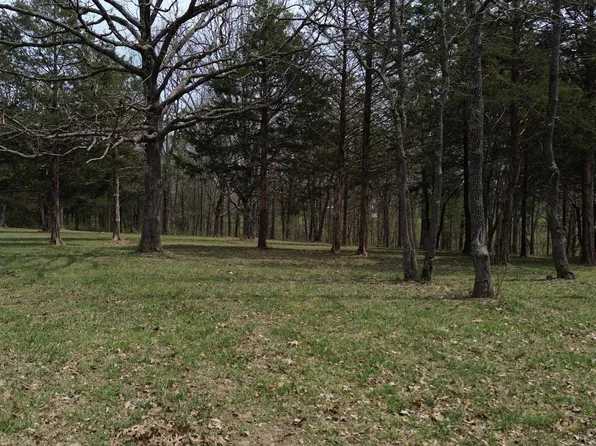 000 Wyldewood Ridge Lot 1, Fordland, MO 65652