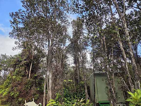 4th image of Alii Anela St Lot 426