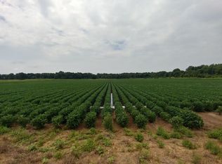 Bill Young Rd, Lake village, AR 71653