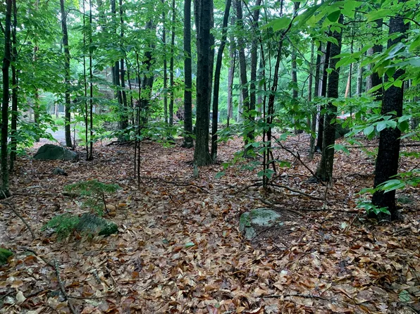 Lot U10-40 Scenic View Drive, Naples, ME 04055