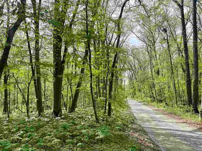 S Park Rd, Tiffin, IA, 52340
