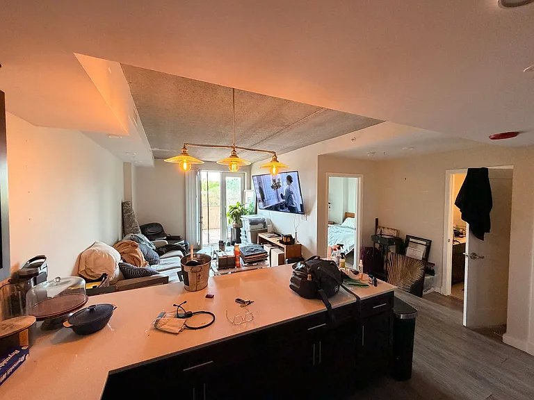 Gorgeous Historical Apartments Near Beach in East Rogers Park — Photo 63