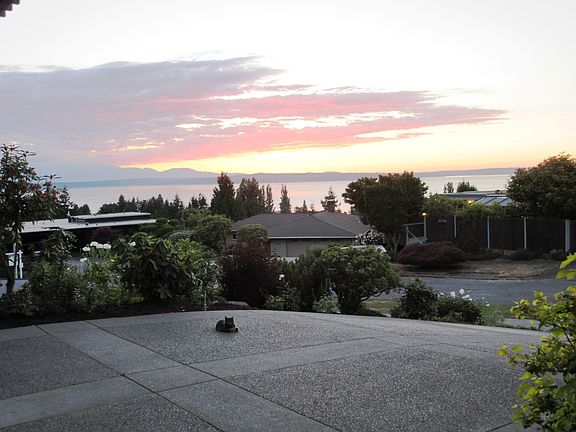 Kitty enjoying the sun set