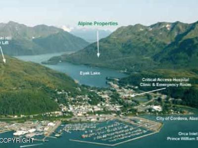 L6 Alpine Falls Cir, Cordova, AK, 99574