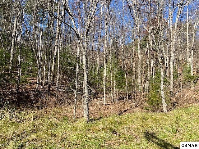 1st image of 55 Wintergreen Dr Lot 55