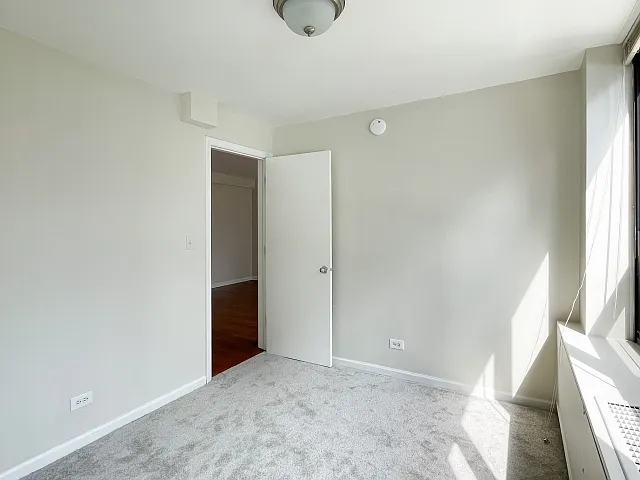 222 E Pearson St #1206 — Photo 6