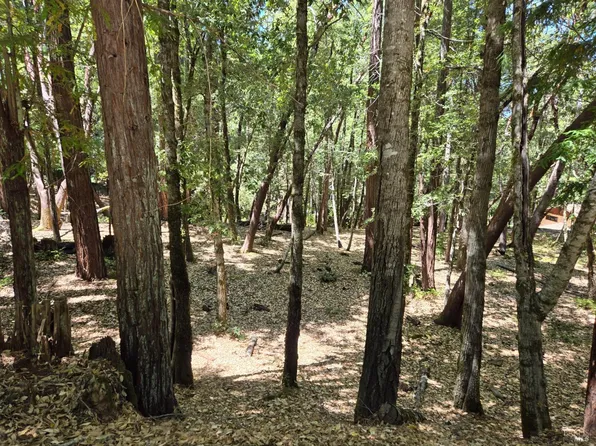 1694 Ponderosa Road, Willits, CA 95490