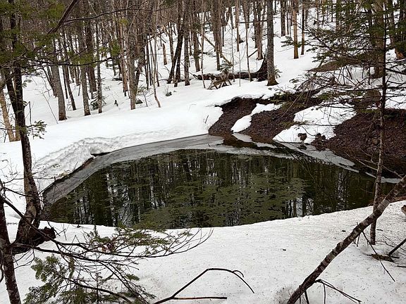 3rd image of 594 Whycocomagh Mountain Rd