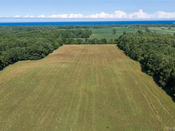 0 Harrington Rd, Croswell, MI 48422