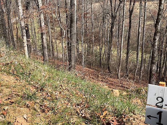 2nd image of 0 Leatherman Gap Rd