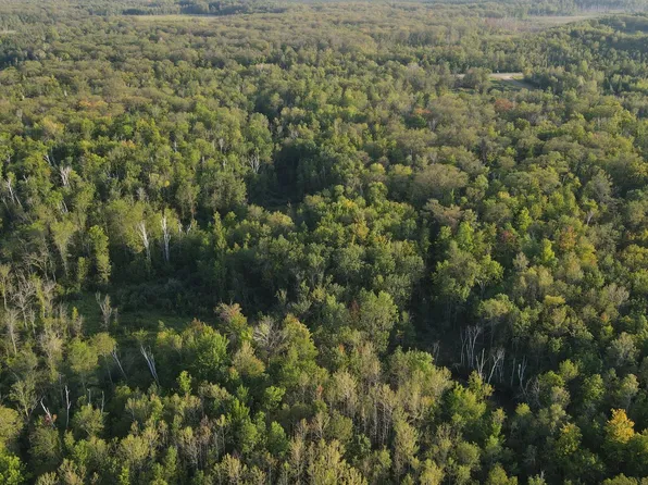 Kestrel Ave, Mc Grath, MN 56350