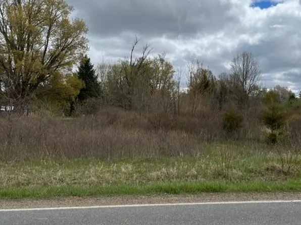 0 W Grand River Rd, Laingsburg, MI 48848