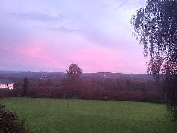 View from living room