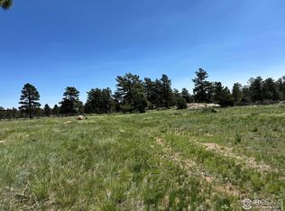 62 White Slide Mountain Ct, Livermore, CO 80536