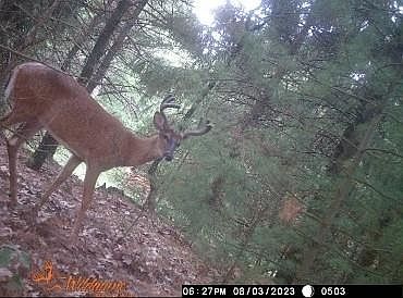 4th image of N5588 1st Ct