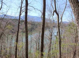 22 Mountain Pkwy, Mill Spring, NC 28756