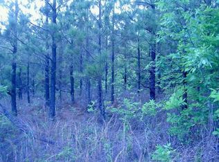 338 Hagans Mountain Rd, Meansville, GA 30256