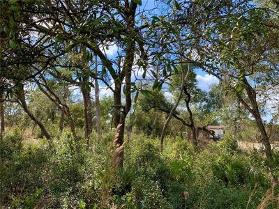 LOT 9 W Hillside Dr LOT 9, Deland, FL, 32720