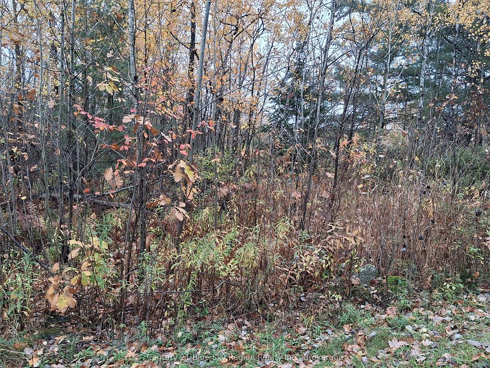 2nd image of 0 Bear Creek Rd
