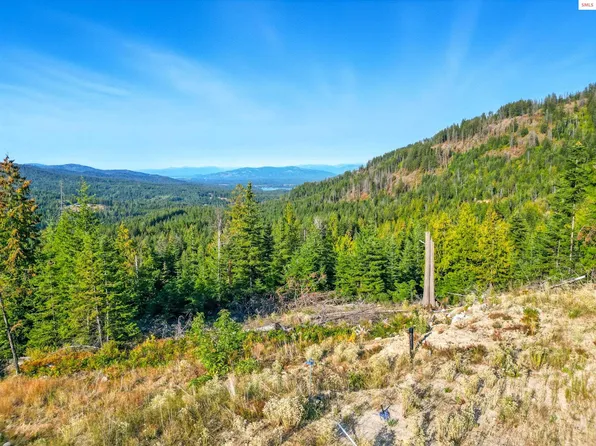 Nna Orion 20acres Dr, Cocolalla, ID 83813