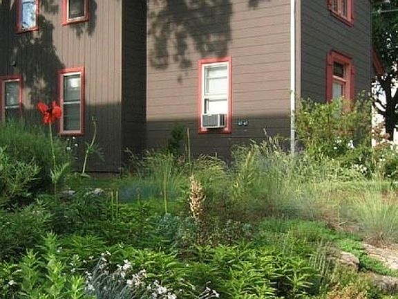 2nd image of 816 Ashland Ave