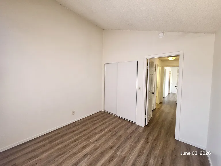 4456 Buena Vista Dr — Photo 18