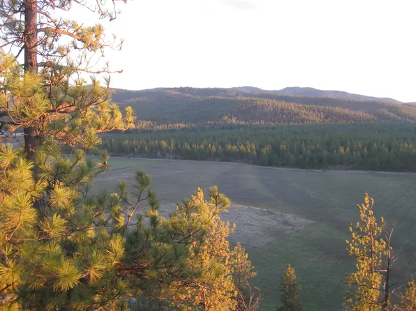 4249 Highway 231, Springdale, WA 99173