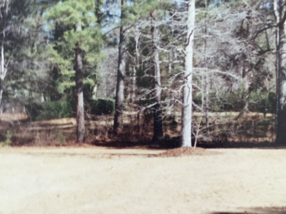 2nd image of 720 Rose Ln
