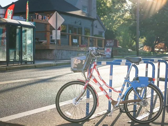 Bike-Friendly Neighborhood