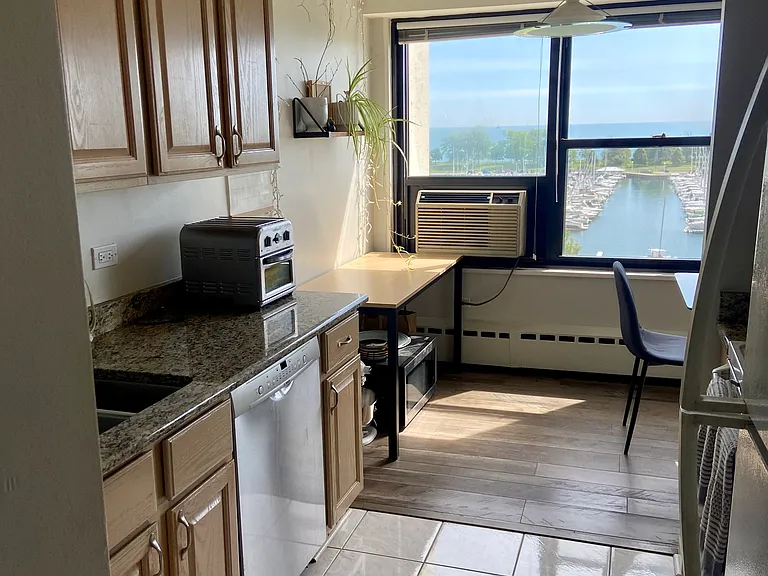 3410 N Lake Shore Dr #8F — Photo 20