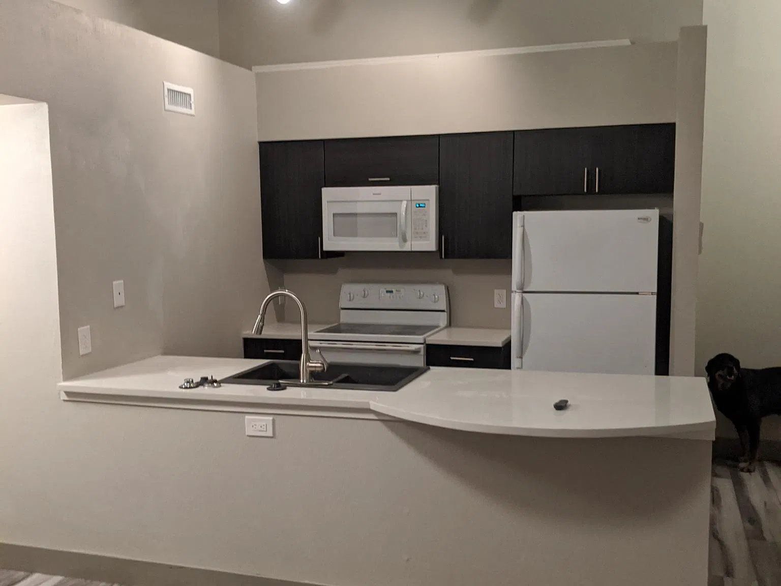 2 bed, 931 sqft, $1,750 — Photo 2