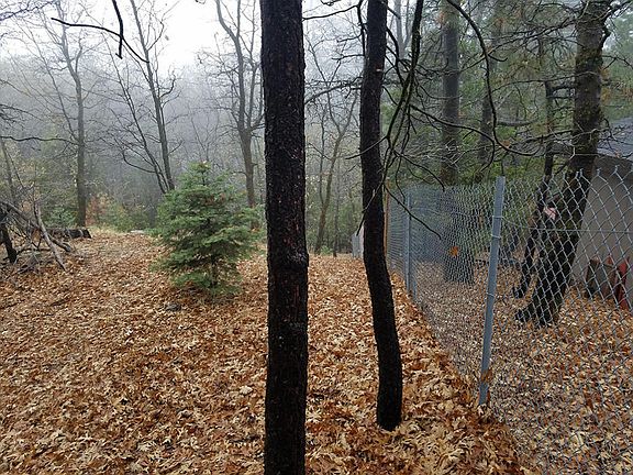 2nd image of Burnt Mill Dr
