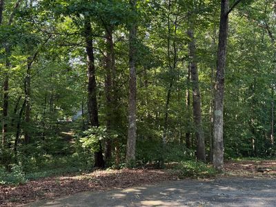 5 Stacey Dr, Cleveland, GA, 30528