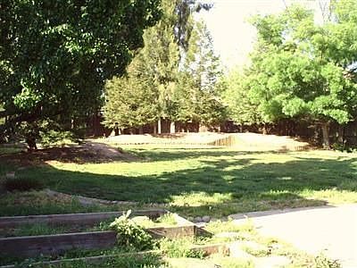 Huge Backyard