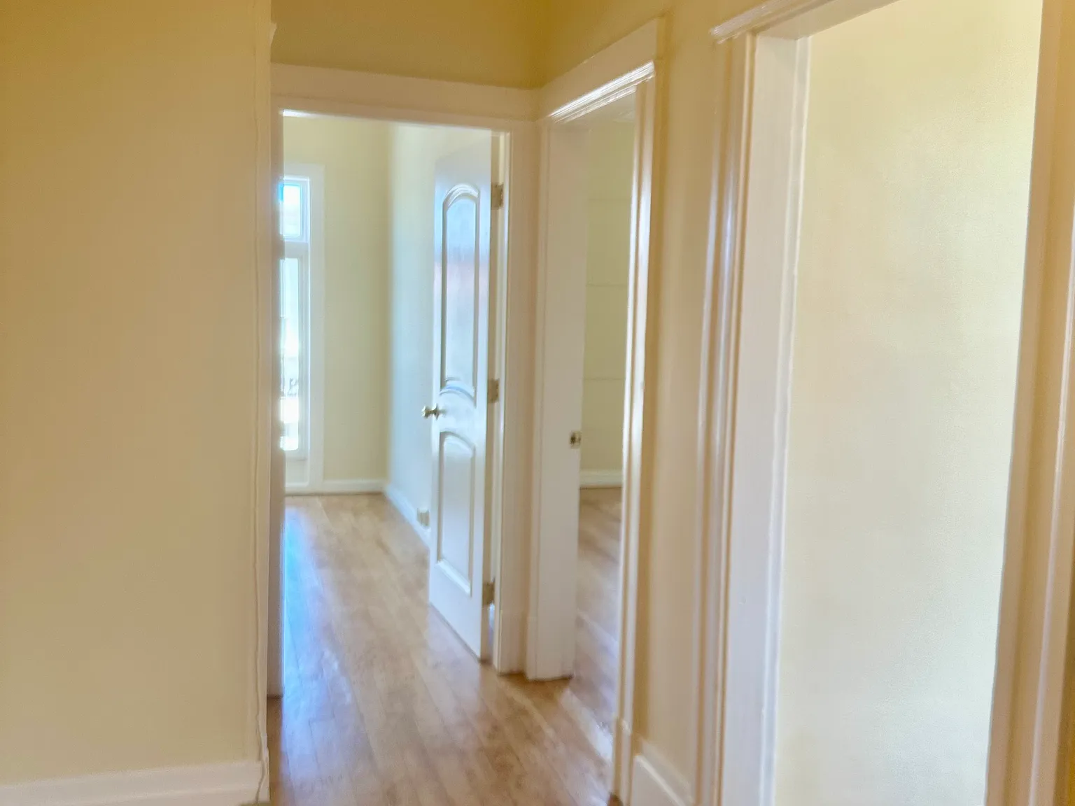 1 bed, $3,600 — Photo 4