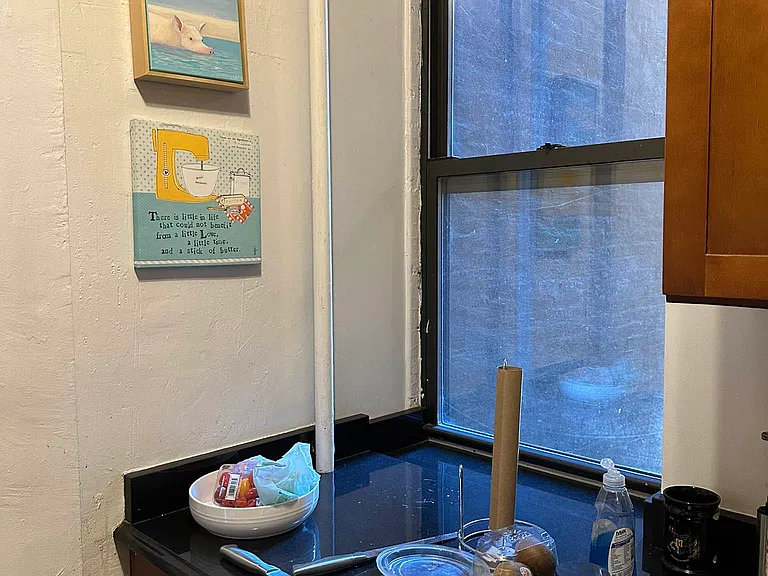 503 E 83rd St #3W — Photo 3
