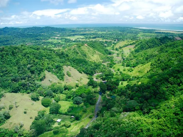 Quebrada Amarilla Jaco, Kansas City, MO 64154