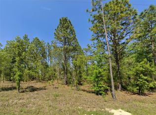 NE 9th St LOT 11, Williston, FL 32696