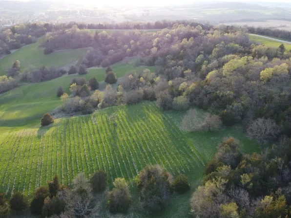 2121 W Hanover Rd, Hanover, IL 61041