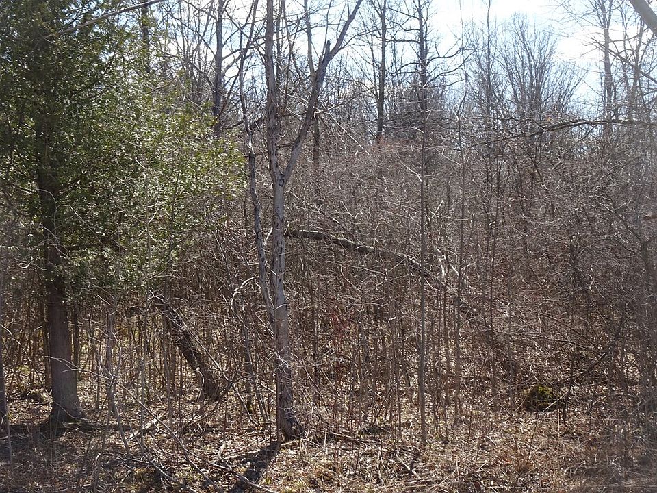 2nd image of County Route 4