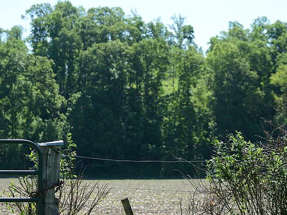 2nd image of 5800 State Road 58