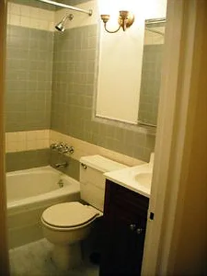 Rented by Manhattan Flats | media 54