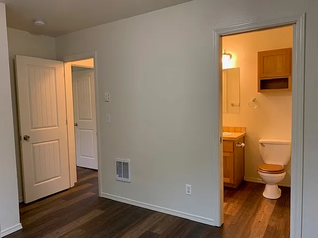 looking into the bathroom from the main bedroom