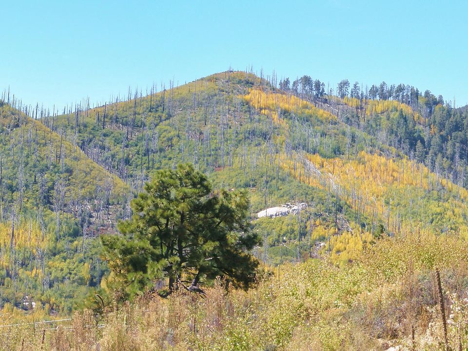 1st image of 12717 N Uppr Loma