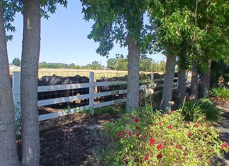 10133 Davis Rd — Photo 34