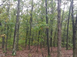 1064 W Bradford Ln, White Cloud, MI 49349