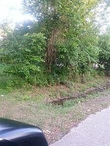 2nd image of 8301 Sandra St