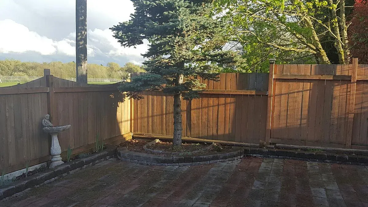 7113 12th Avenue SW — Photo 3