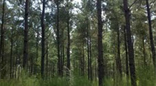 2nd image of 497 Butler Rd