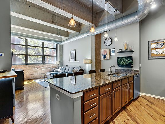 4th image of 1735 N Paulina St APT 202
